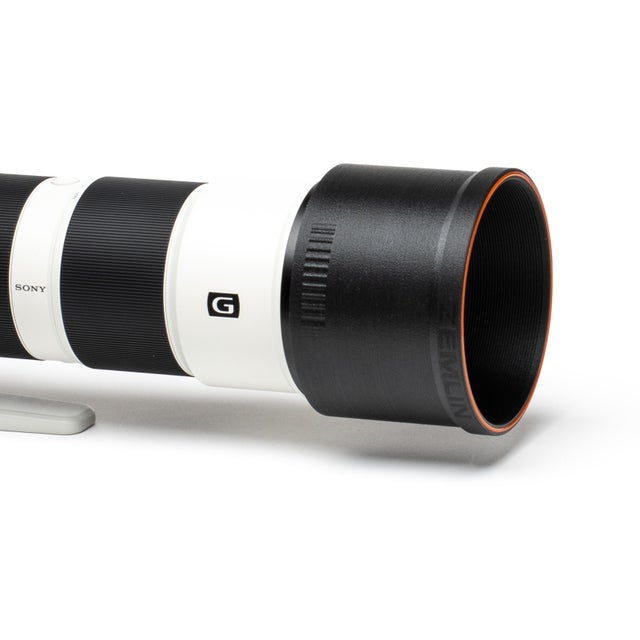 FE 200-600mm f/5.6-6.3 G OSS | Zemlin Photo