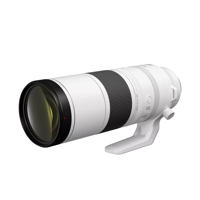 RF200-800mm F6.3-9 IS USM | Zemlin Photo