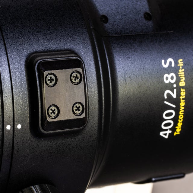Nikkor Z 600mm f/4 TC VR S | Zemlin Photo